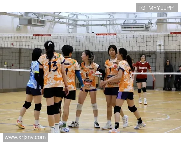 重庆排球队的节奏与魅力探秘:排球运动在城市中的热情与发展